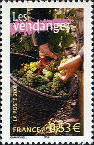 Grape Harvest