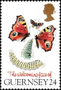 Butterflies and Caterpillars "Face"