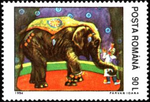 Asian Elephant (Elephas maximus) in Circus