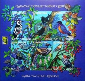 RCC Issue - Gara-Yaz State Nature Reserve