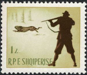 European Hare (Lepus europaeus)