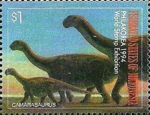 Camarasaurus