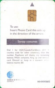 Sensay costumes - Mas Domnik 2000