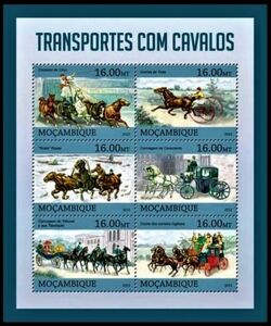 Transport-Horses