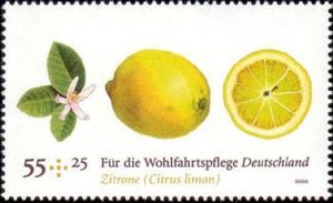 Lemon-Citrus limon