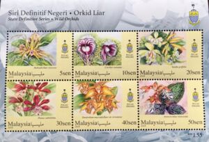 Orchids of Malaysia