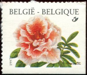 Rhododendron Simsii Self-adhesive Right + Bottom Imperforate