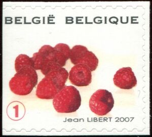 Fruit Self-adhesive - Raspberries