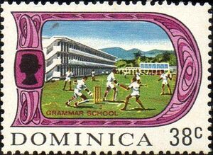 Cricket, Grammar School