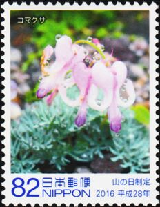 Komakusa Flowers (Dicentra peregrina)