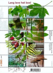 Long Live the Forest!