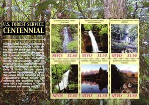 U.S. Forest Service Centennial