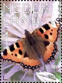 Small Tortoiseshell (Aglais urticae)