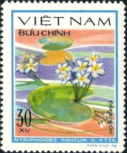 Nymphoides indicum