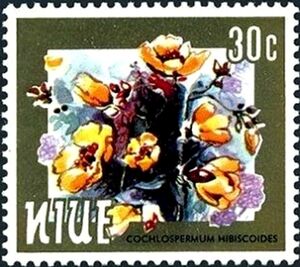 Cochlospermum hibiscoides