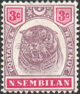 Tiger (Panthera tigris)