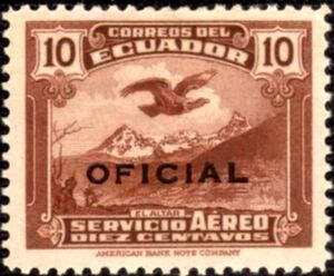 Condor over El Altar