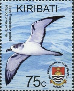 Juan Fernandez Petrel (Pterodroma externa)