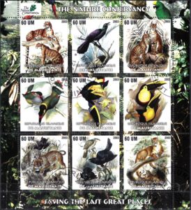 The Nature Conservancy