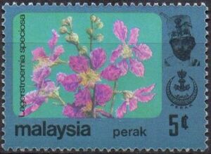 Lagerstroemia speciosa