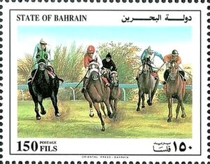 Five Horses Galloping