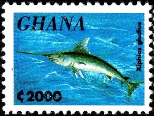 Swordfish (Xiphias gladius)