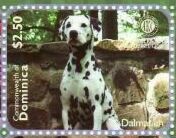 Dalmatian and Stone Wall