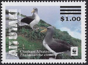 Chatham Albatross (Thalassarche eremita) - Surcharged