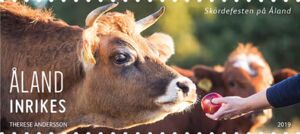 Harvest Festival - Person feeding apple to cow