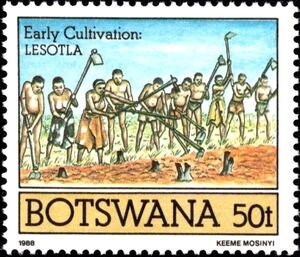 Communal Planting, Lesotla