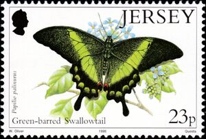 Green-barred Swallowtail (Papilio palinurus)