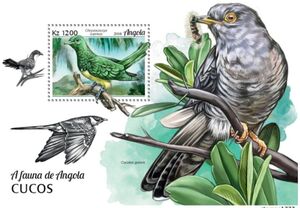 African Emerald Cuckoo (Chrysococcyx cupreus)