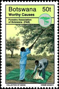 Collection of Seeds, Forestry Association