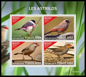 Waxbills