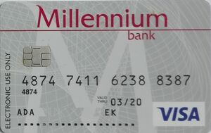 Millennium Visa