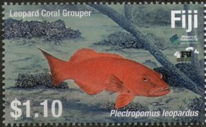 Leopard Coral Grouper (Plectropomus leopardus)