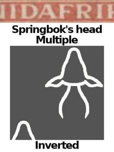 Orange Tree (Citrus sinensis)