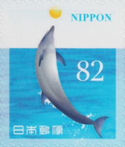 Spinner Dolphin (Stenella longirostris)