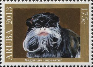 Emperor Tamarin (Saguinus imperator)