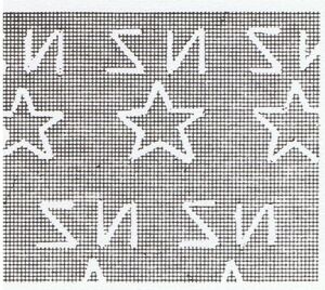 Puarangi (Hibiscus trionum)