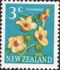 Puarangi (Hibiscus trionum)