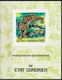 Ocelot (Felis pardalis)