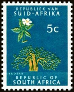 Baobab (Adansonia digitata), redrawn