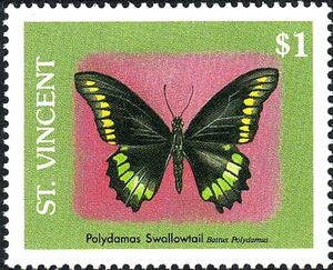 Polydamas Swallowtail (Battus polydamas)