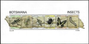 Insects