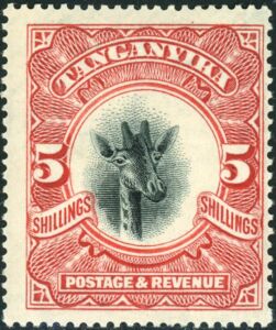 Giraffe (Giraffa camelopardalis)