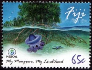 Mangrove and Underwater Life around Roots