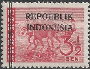 Rice Field - black overprint (2)