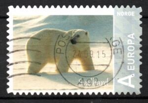 Svalbard - Icebear