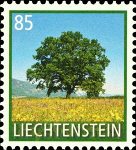 Common Oak (Quercus robur)